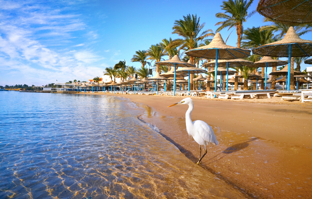 14 Egyptian Resorts Break Into Global Top 100 Hotel Ranking