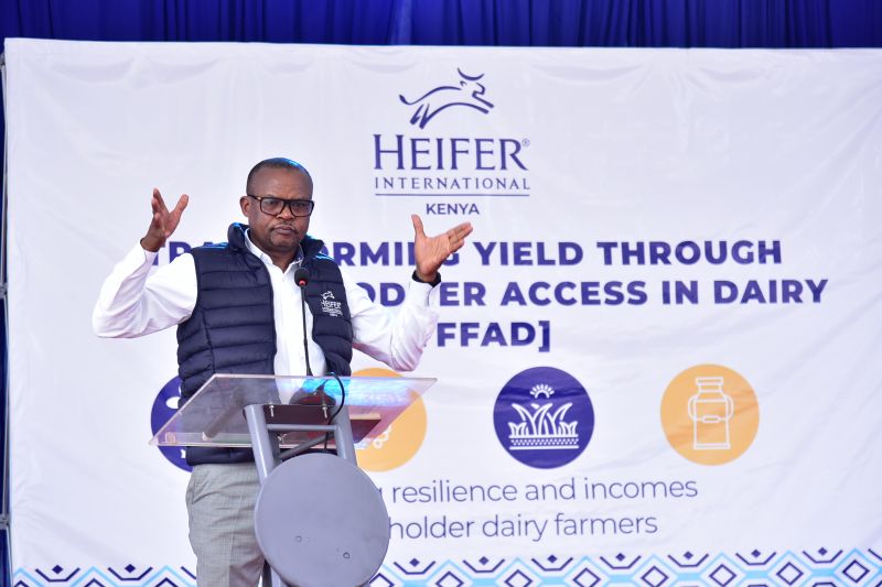 HEIFER INTERNATIONAL LAUNCHES PROJECT TO STRENGTHEN FEED AND FODDER SYSTEMS IN KENYA'S DAIRY SECTOR