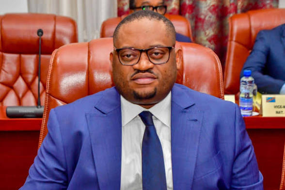 DRC Finance Minister – Doudou Fwamba Likunde